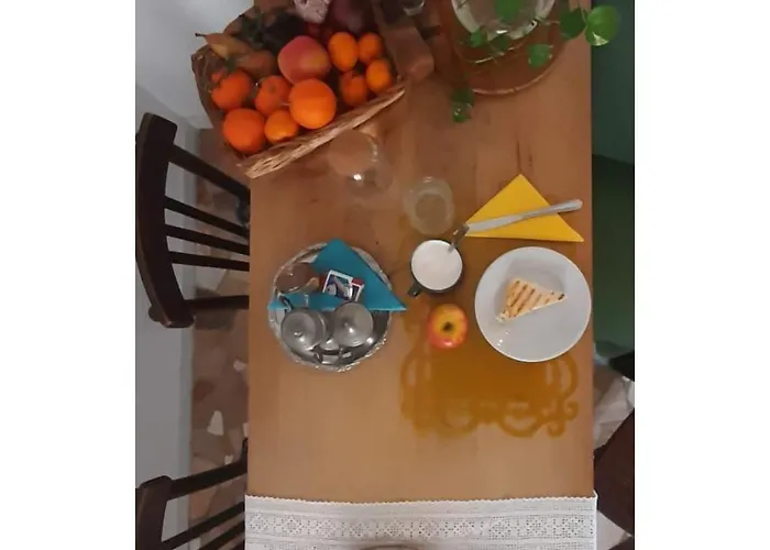 Ab Ovo